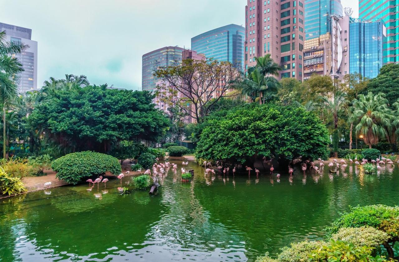 Eaton Hk Hotel Hongkong Kültér fotó